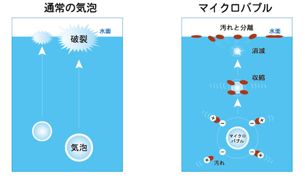 泡浮遊の画像